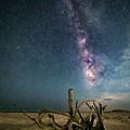 Driftwood Milky Way